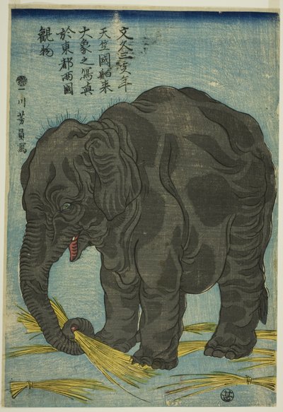 Image du grand éléphant d