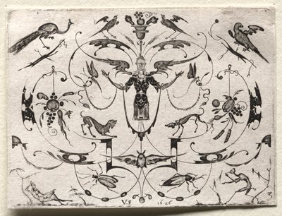 Arabesque avec paon, perruche, chiens et insectes - Valentin Sezenius