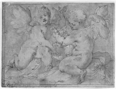 Deux putti jouant avec un chat et deux oiseaux - Valerio Castello