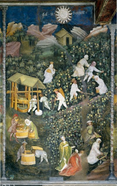 Octobre : scène de vendange, récolte des raisins et préparation du moût - Venceslao Maestro