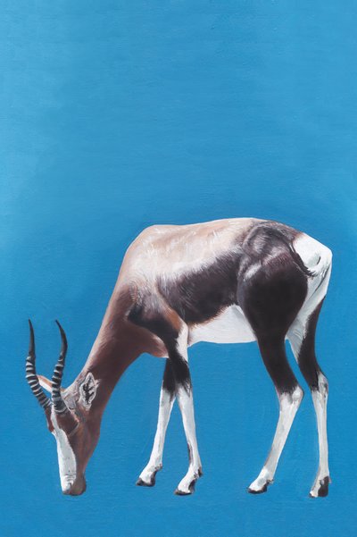 Blesbok en train de paître, bleu - Viccy Wanliss