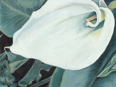 Élégante fleur de calla - Viccy Wanliss