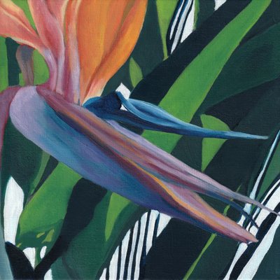 Oiseau de paradis aux couleurs vives - Viccy Wanliss