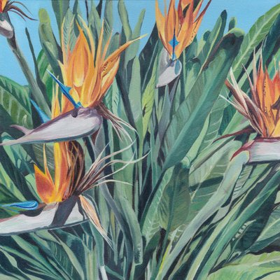 Oiseau de paradis aux couleurs vives - Viccy Wanliss