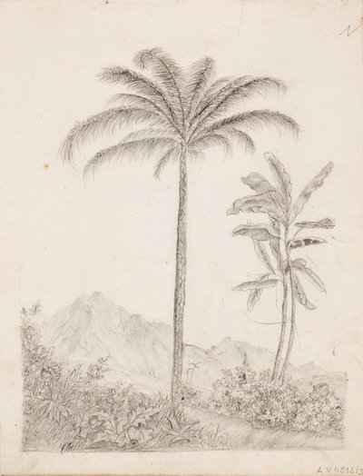 Palmiers - Victoria Åberg