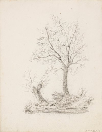 Arbres - Victoria Åberg
