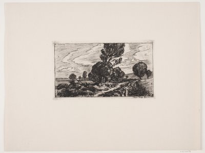Chemin à travers le marais - Viggo Pedersen