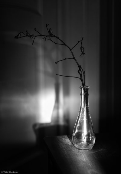  - Viktor Cherkasov