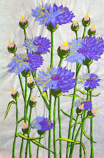 Des bleuets d