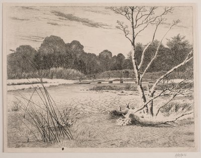 Coucher de soleil dans une forêt - Vilhelm Kyhn