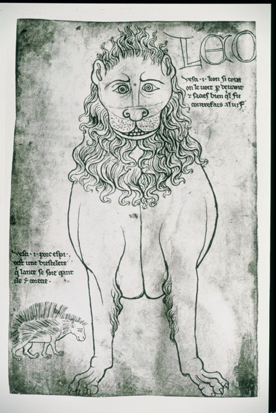 Lion et Porc-épic (fac-similé) - Villard de Honnecourt