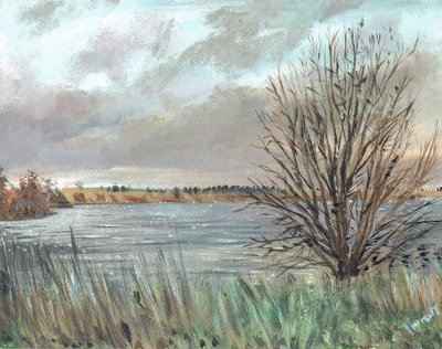 Fannyside Loch - Vincent Alexander Booth
