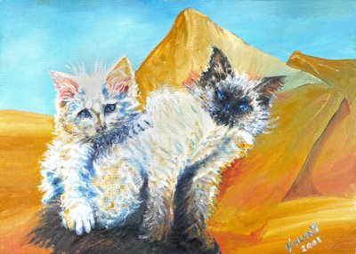 Chatons Monty et Baby, 2001 - Vincent Alexander Booth