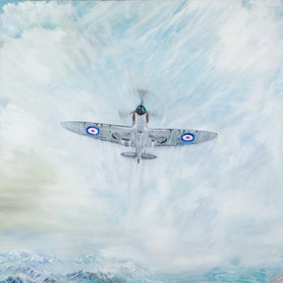 Spitfire As de Pique - Vincent Alexander Booth