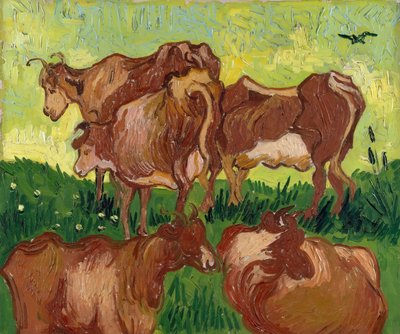 Les vaches d