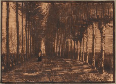 Avenue des bouleaux et peupliers têtards - Vincent van Gogh