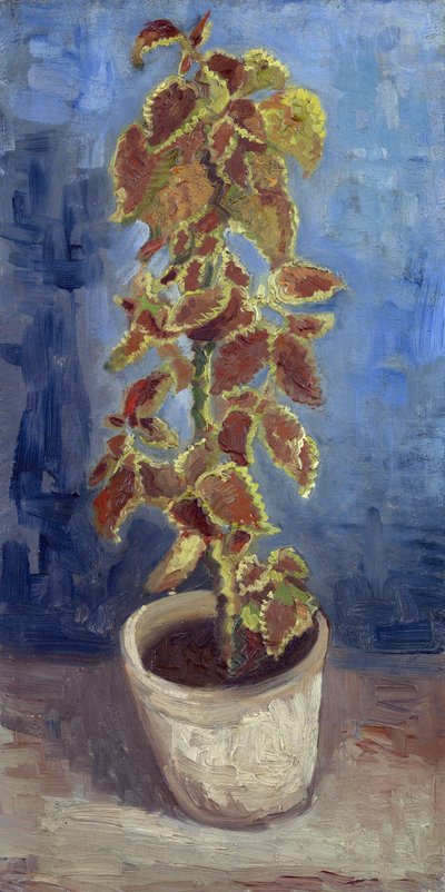 Ortie flamboyante dans un pot de fleurs - Vincent van Gogh