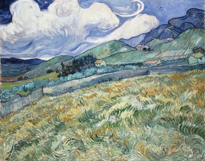 Paysage de Saint-Rémy - Vincent van Gogh
