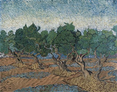 Oliveraie - Vincent van Gogh