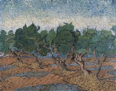 Oliveraie. 1889 - Vincent van Gogh