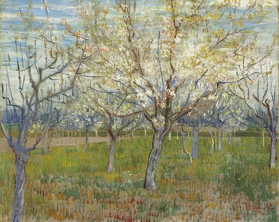 Verger rose. 1888 - Vincent van Gogh