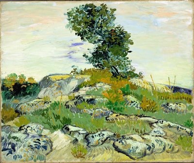 Les rochers - Vincent van Gogh