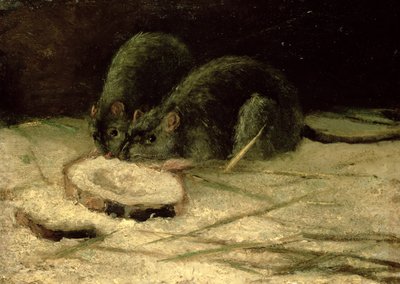 Deux rats, vers 1884 - Vincent van Gogh