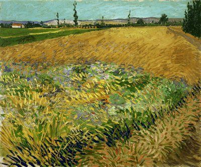 Champ de blé - Vincent van Gogh