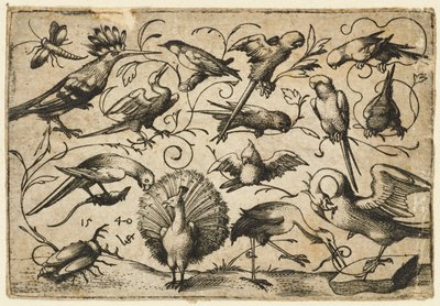 Dix oiseaux sur de petites vrilles de feuillage avec une cigogne attachant une vrille autour de la patte d