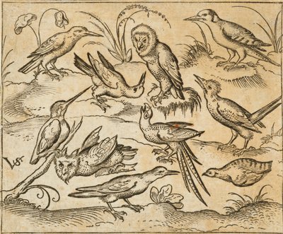 Dix oiseaux perchés sur des branches et des touffes d