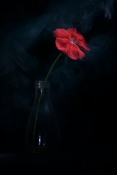  - Vladimir Pavlovskyy