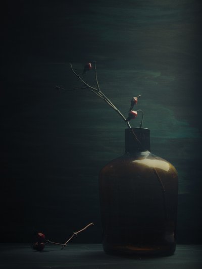  - Vladimir Pavlovskyy