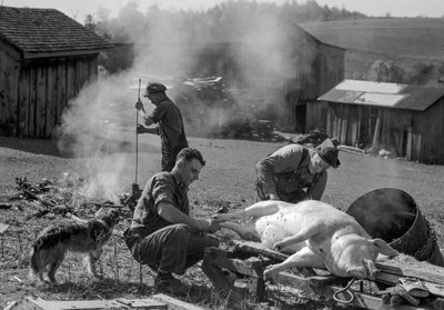 Des hommes préparent un cochon abattu pour être rôti dans une ferme, Virginie-Occidentale - Volkmar Wentzel