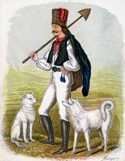 Homme hongrois avec des chiens, 1809 - W. Dickes