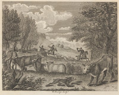 Le lièvre et de nombreux amis - W. Grainger