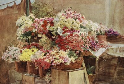 Étal de fleurs, marché de Menton - Walter Frederick Roofe Tyndale
