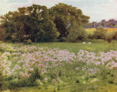 La Nouvelle Forêt : Riversdale, Boldre - Walter Frederick Roofe Tyndale