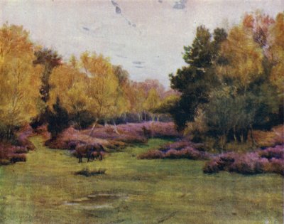 La Nouvelle Forêt : Rushpole Wood, Lyndhurst - Walter Frederick Roofe Tyndale