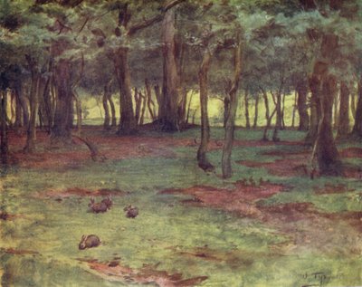 La Nouvelle Forêt : Les bois à Setley Plain - Walter Frederick Roofe Tyndale
