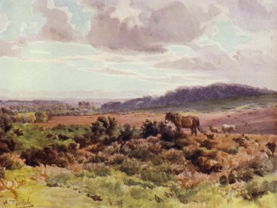 La Nouvelle Forêt : Vue de Picket Post sur Ringwood Road - Walter Frederick Roofe Tyndale