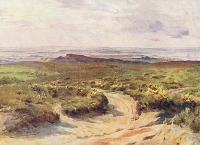 Wessex : Studland Heath, port de Poole au loin - Walter Frederick Roofe Tyndale