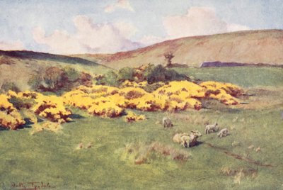 Wessex : Été dans le Wessex - Walter Frederick Roofe Tyndale