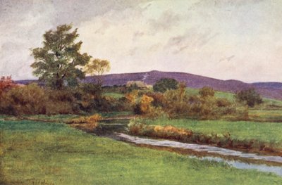 Wessex : Le "Rainbarrow" du Retour du natif - Walter Frederick Roofe Tyndale
