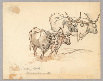 Étude de bétail en Toscane - Walter Shirlaw