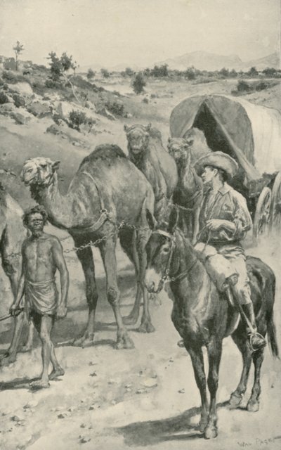 Une caravane de chameaux, Australie occidentale - Walter Stanley Paget