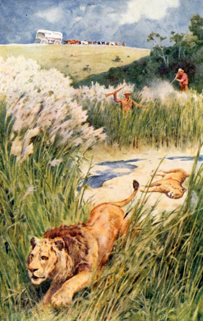 Les Boers de la fête ont courageusement affronté un lion et une lionne - Walter Stanley Paget