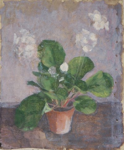 Nature morte avec pot de fleurs - Walther Gamerith