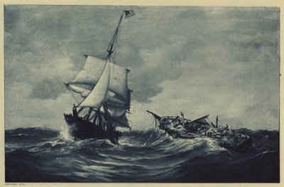 La Guêpe et la Frégate - Warren Sheppard