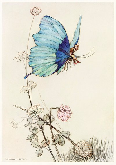 Le papillon prit son envol et monta dans les airs avec le petit Tom sur son dos, du Livre des Fées - Warwick Goble