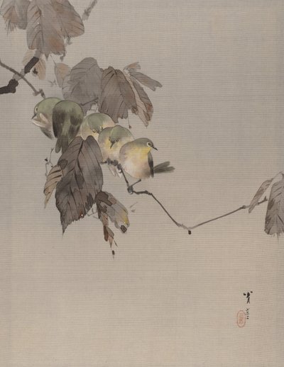 Oiseaux sur une branche, vers 1887 - Watanabe Seitei